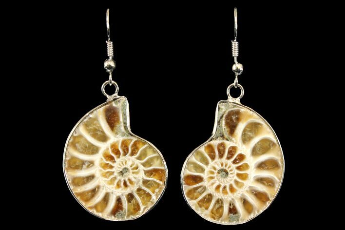 Fossil Ammonite Earrings - Million Years Old #142869